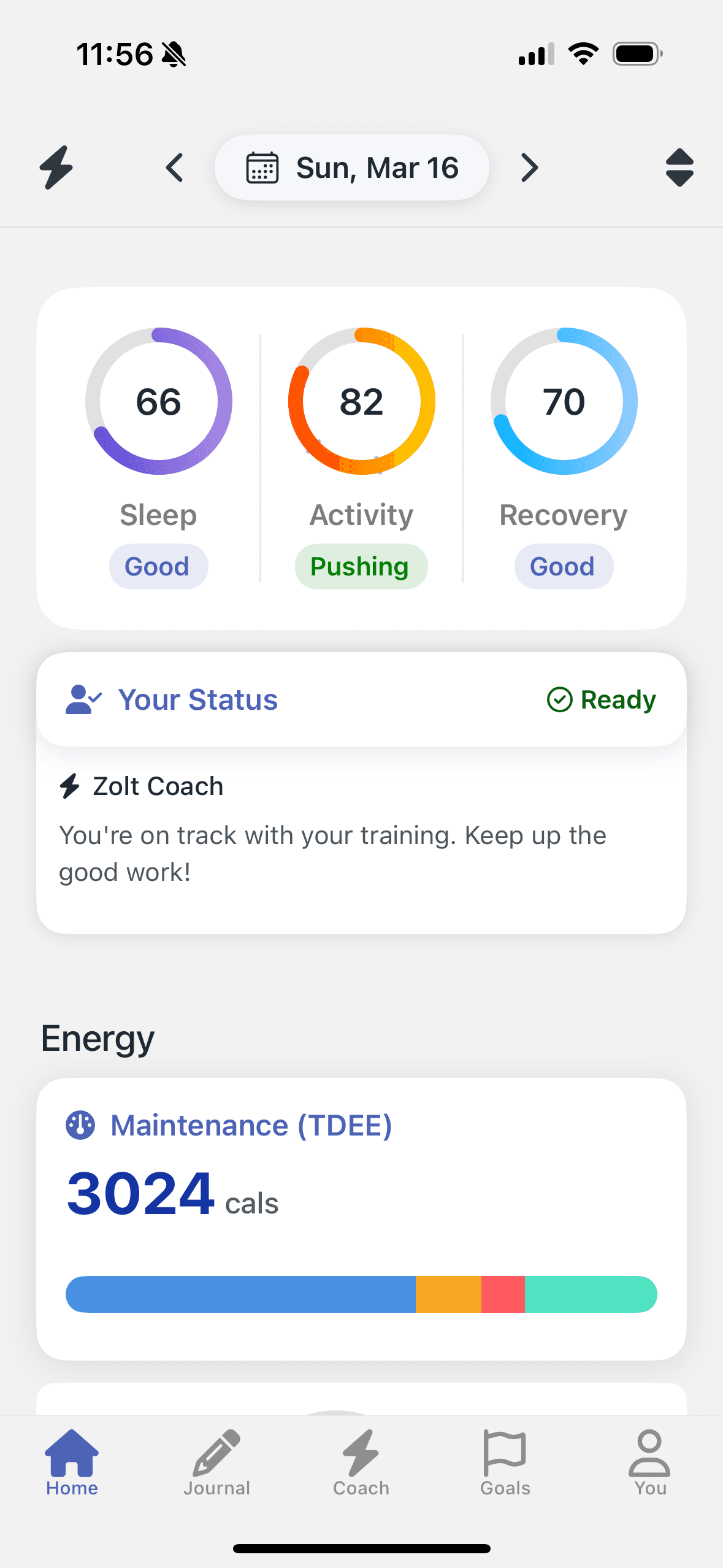 Zolt app dashboard showing comprehensive fitness tracking